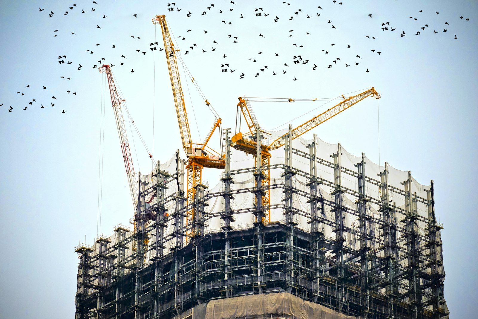 Tower cranes over a construction site